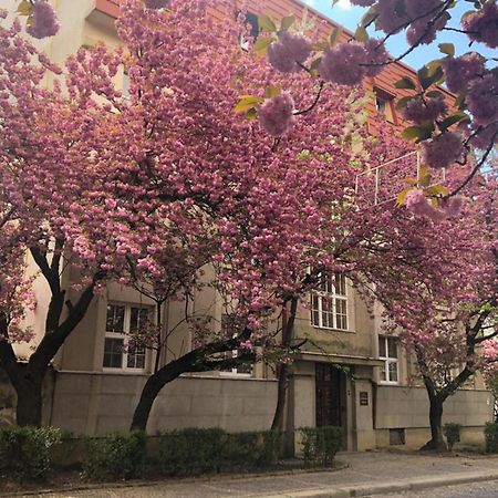 Апарт-Отель "Галаговъ" Uschhorod Exterior foto